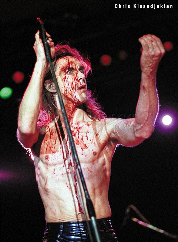 Iggy Pop Kisatzekian