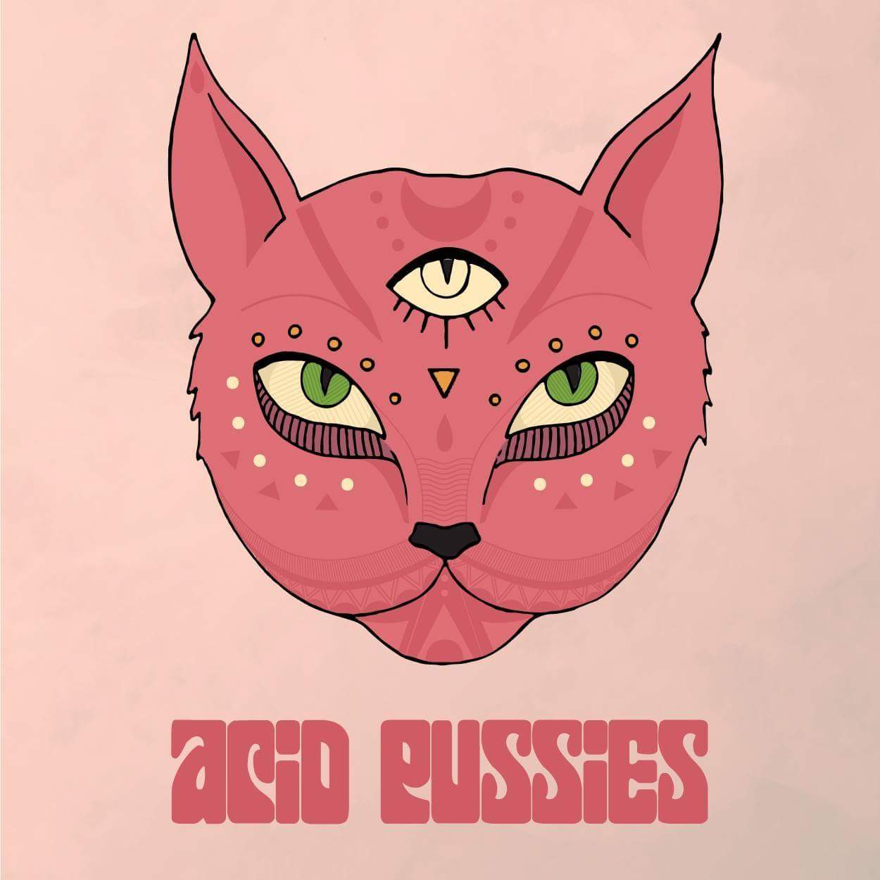 acid pussies