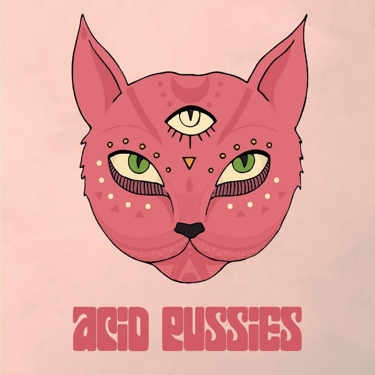 acid pussies