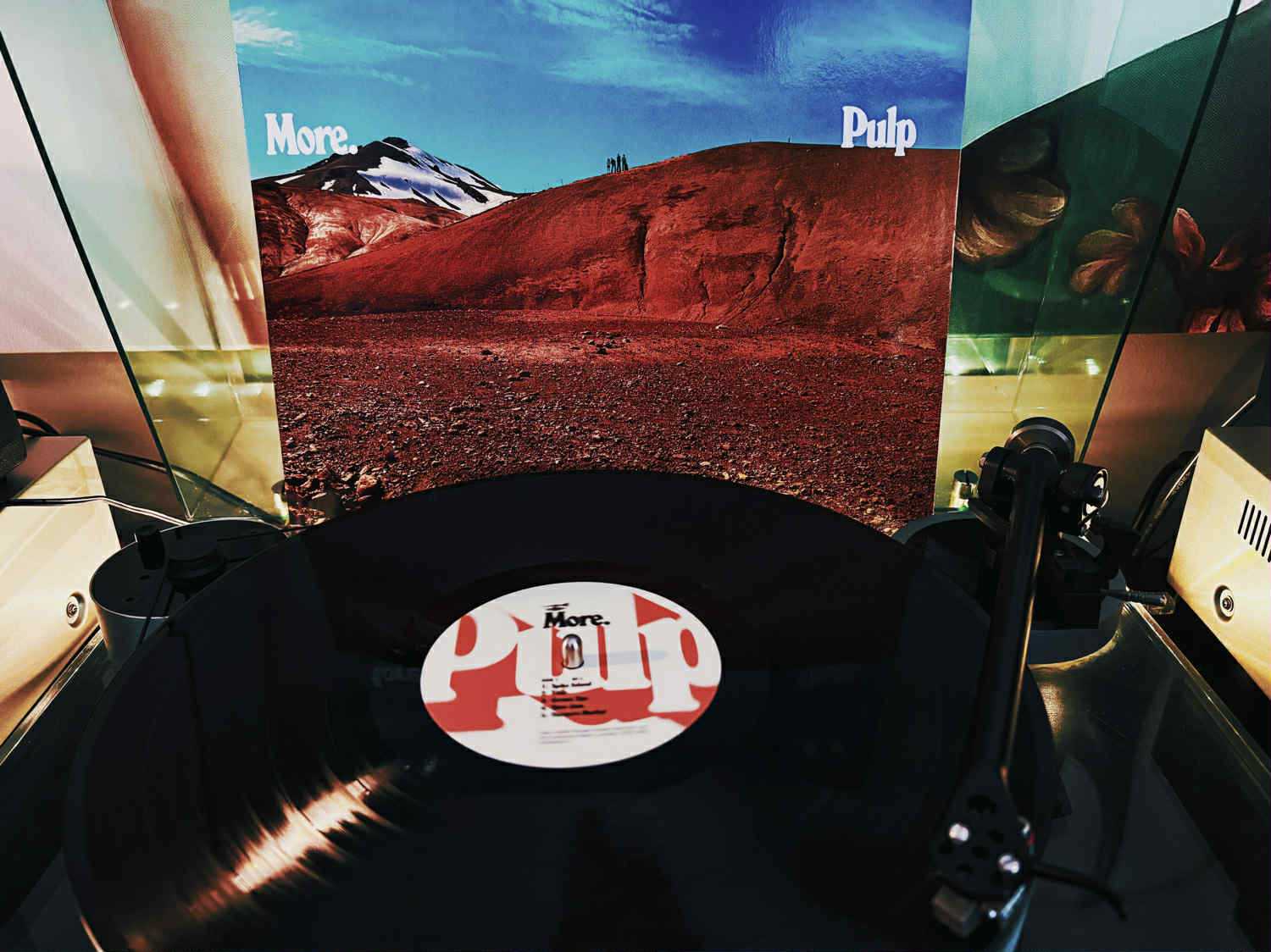 PULP MORE 05
