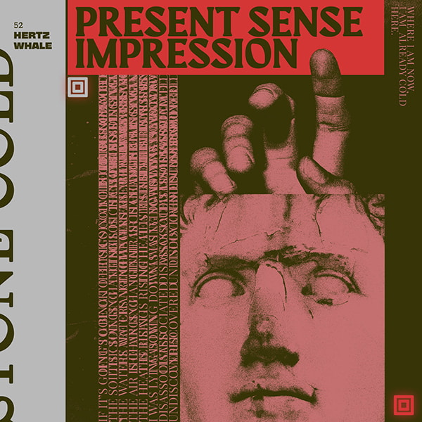 52 hertz whale present sense impression