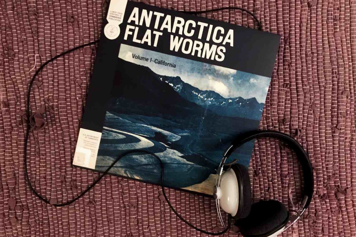 Flat Worms - Antarctica (God Records, 2020)