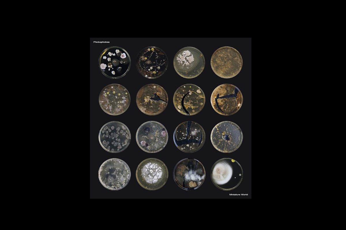 Phobophobes - Miniature World (Ra-Ra Rok Records, 2018)
