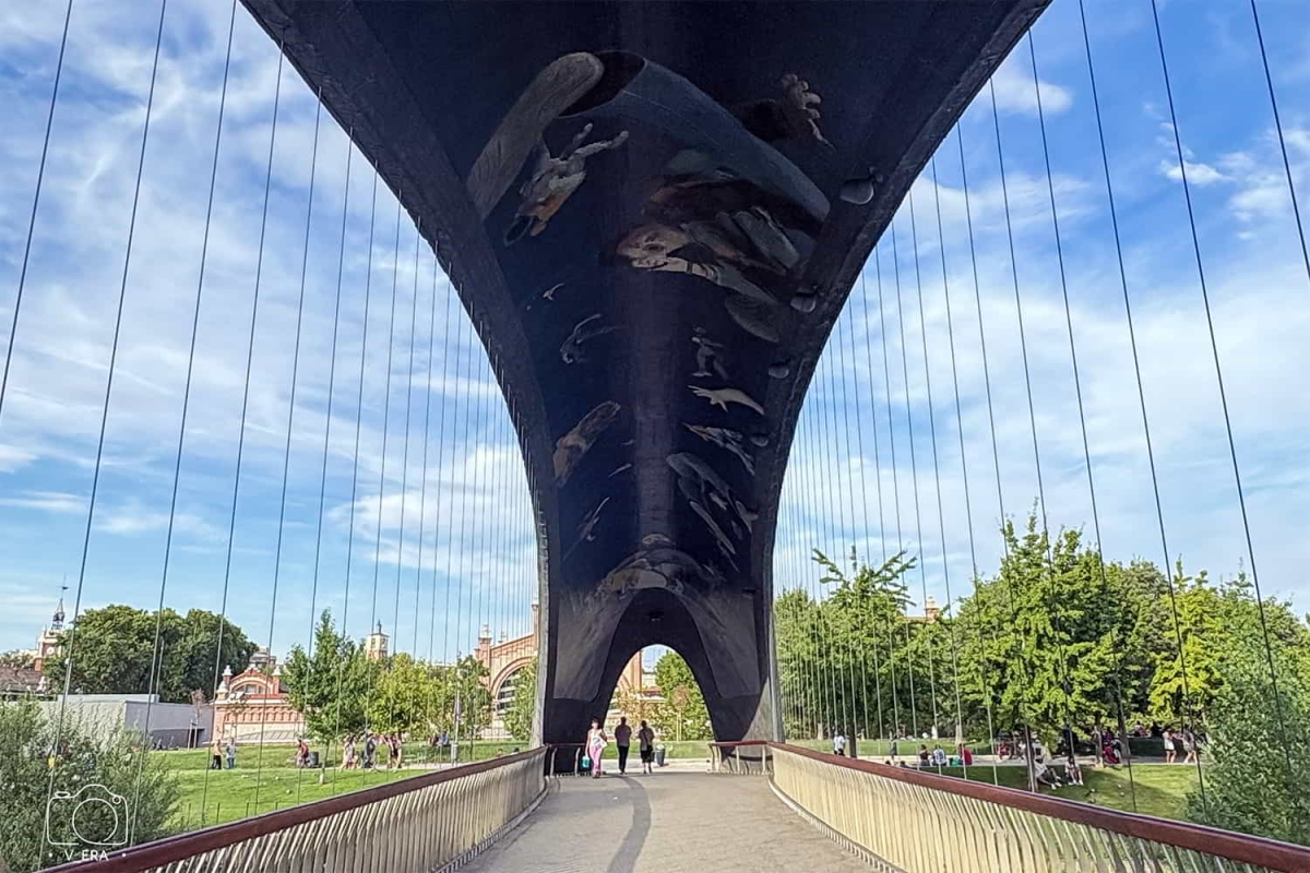 Tα δισκάδικα της Μαδρίτης (Μέρος 2) // Record Shops in Madrid (Part 2) (2025)