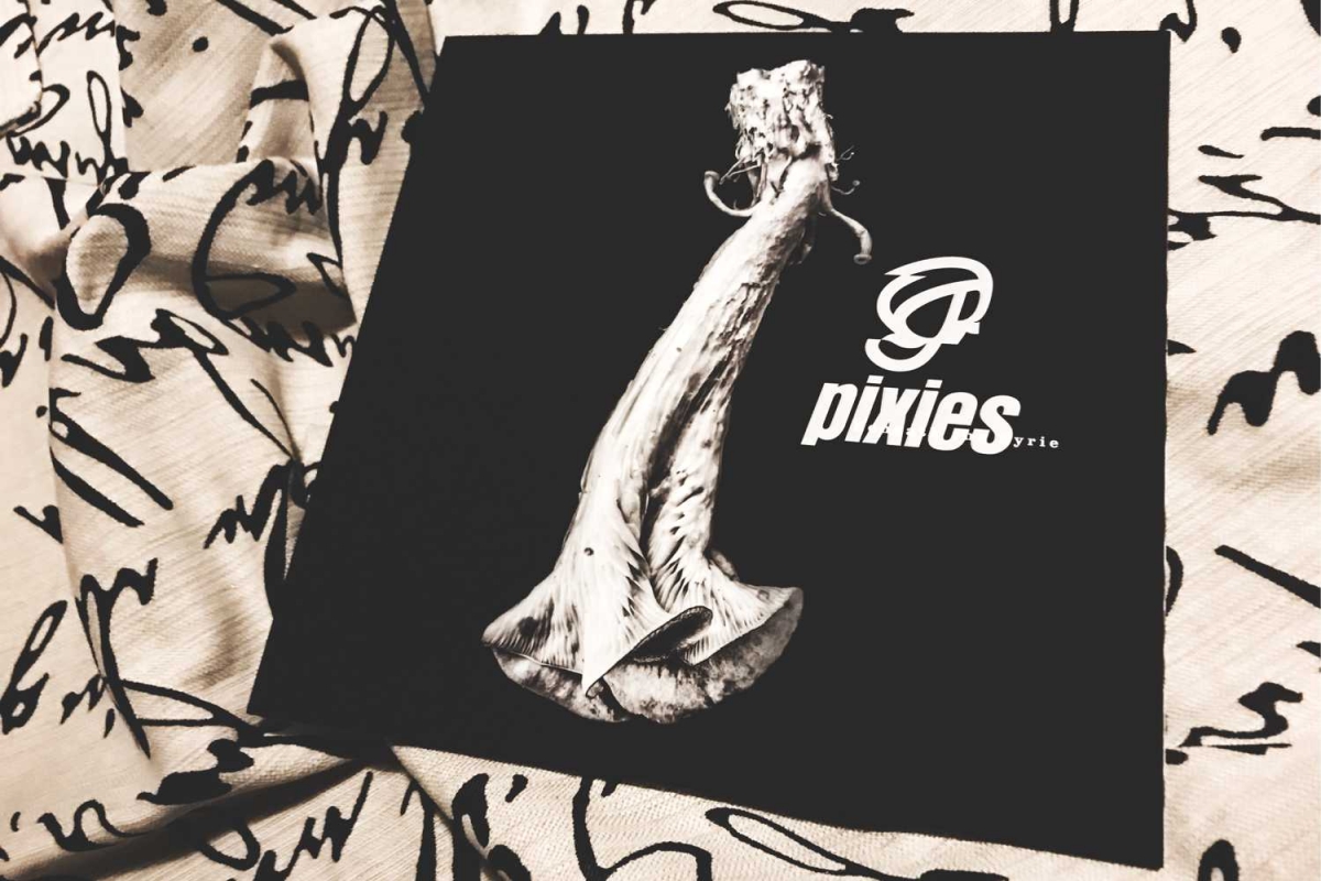Pixies - Beneath the Eyrie (Infectious/BMG, 2019)