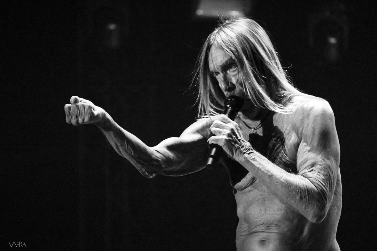 Iggy Pop/James/Shame/The Noise Figures/The Dark Rags LIVE@Release Festival, 8/6/2019