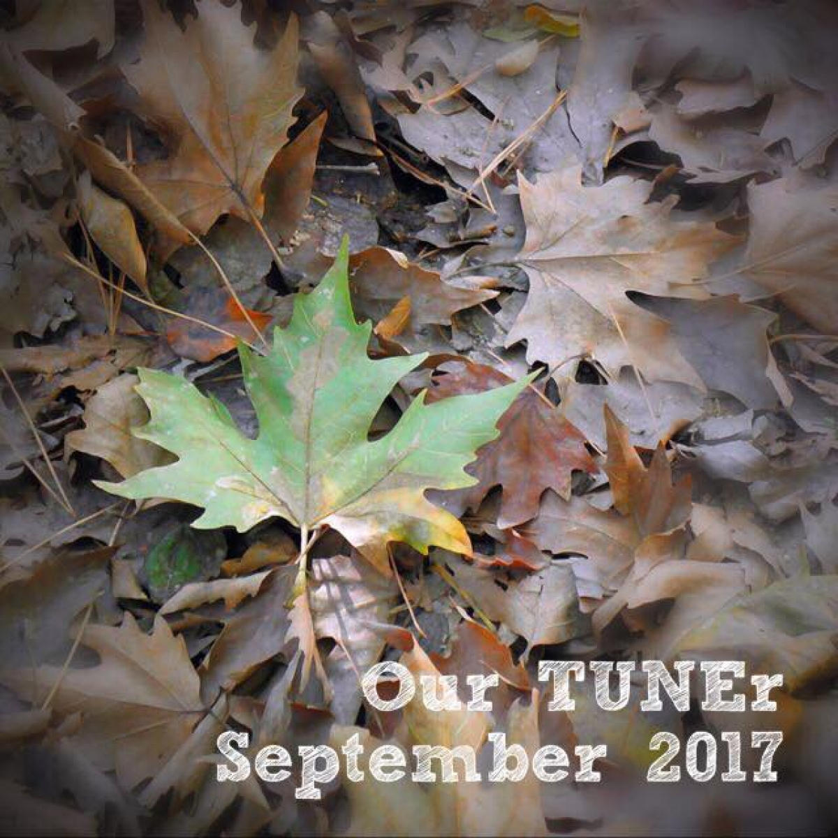 #OurTUNEr - September 2017