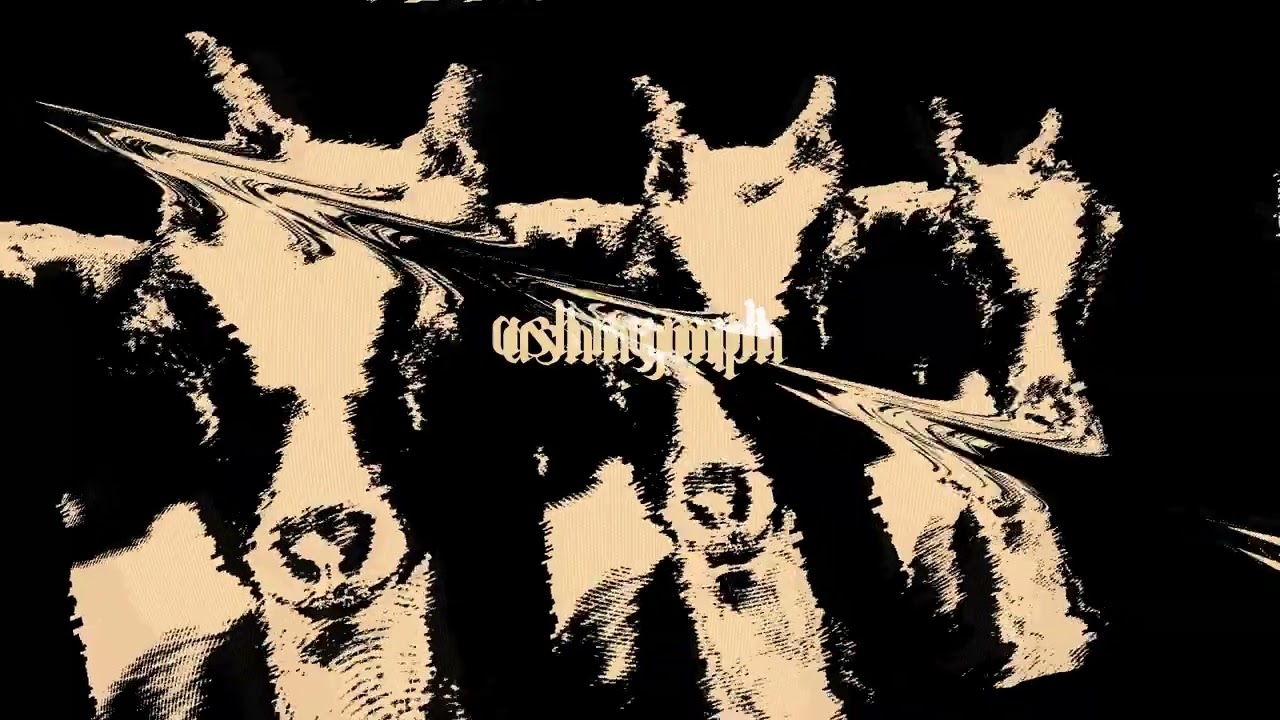 ashnymph - Saltspreader