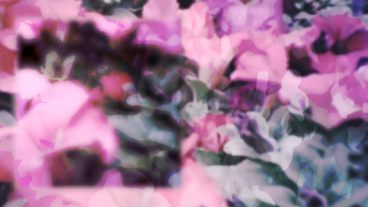 Daughter - Future Lover