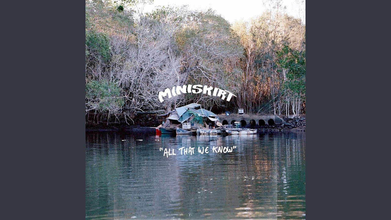 Mini Skirt - Series 3