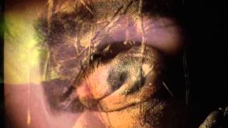 Siouxsie And The Banshees - Scarecrow