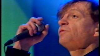 The Fall - Blindness
