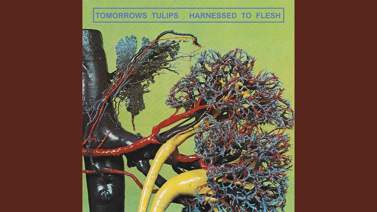 Tomorrows Tulips - Certain Frantic Quality